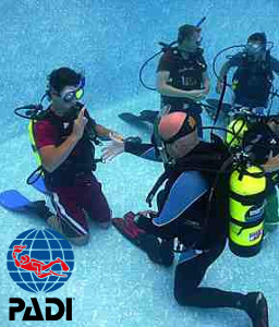 PADI Dive Courses